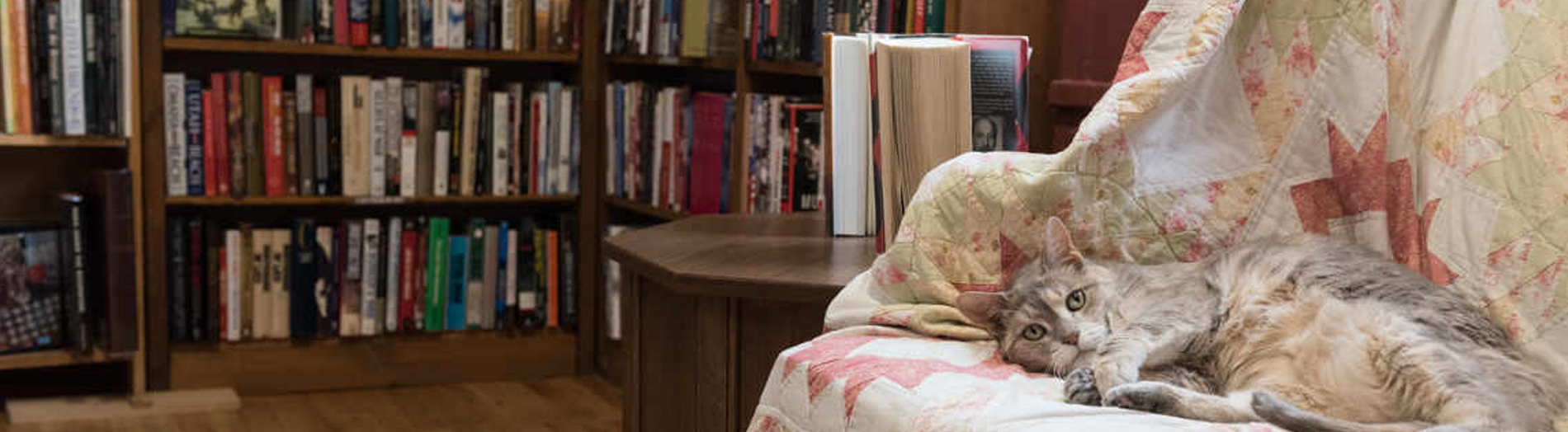 Book shelves inside shop